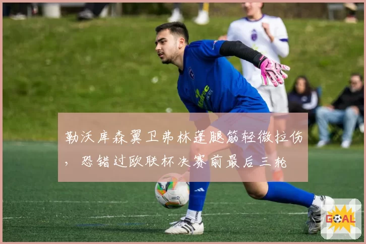 勒沃库森翼卫弗林蓬腿筋轻微拉伤，恐错过欧联杯决赛前最后三轮