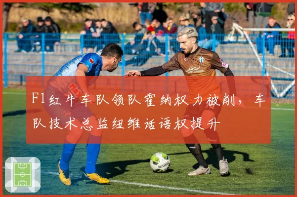 F1红牛车队领队霍纳权力被削，车队技术总监纽维话语权提升