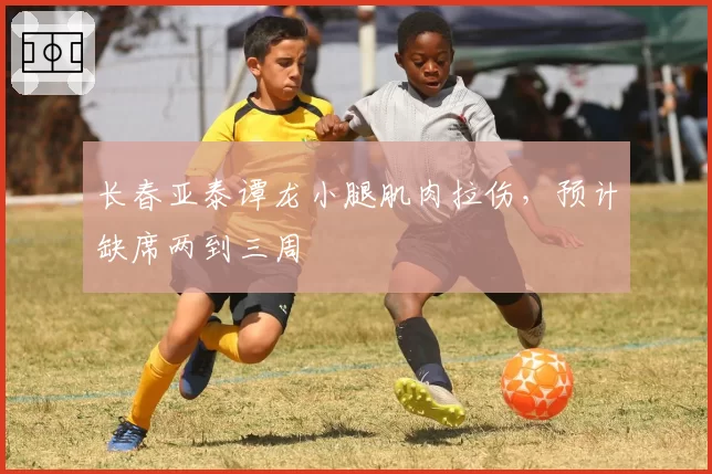 长春亚泰谭龙小腿肌肉拉伤，预计缺席两到三周