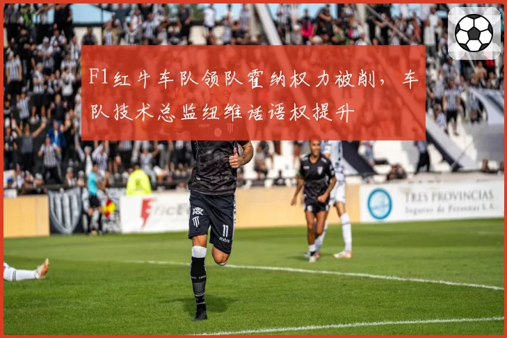 F1红牛车队领队霍纳权力被削，车队技术总监纽维话语权提升